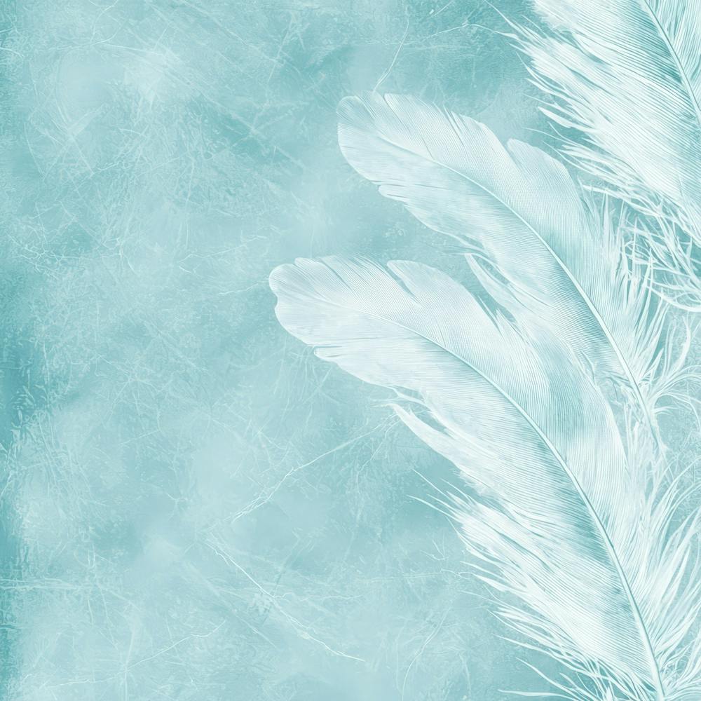 White Feathers On A Blue Background