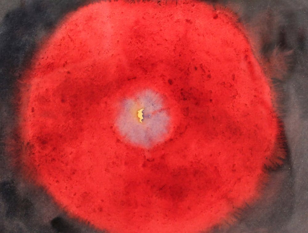 Hilma Af Klint, On the Viewing of Flowers and Trees, The birch