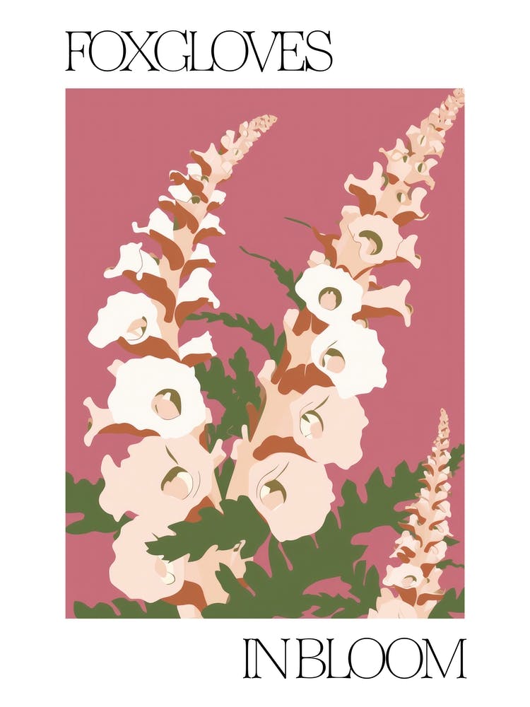 Foxgloves In Bloom Flowers Bold Illustration 2