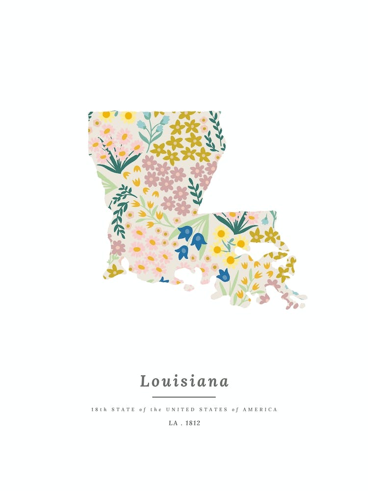 Louisiana | Wildblumenmischung