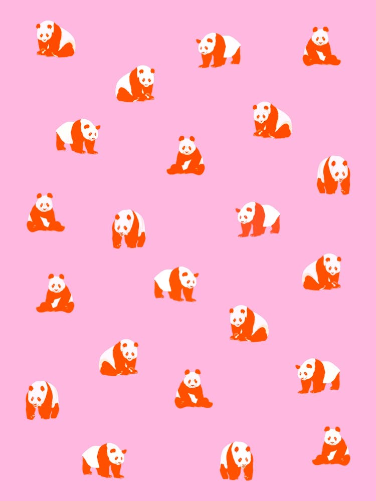 Panda Bears Pattern Pink and Orange
