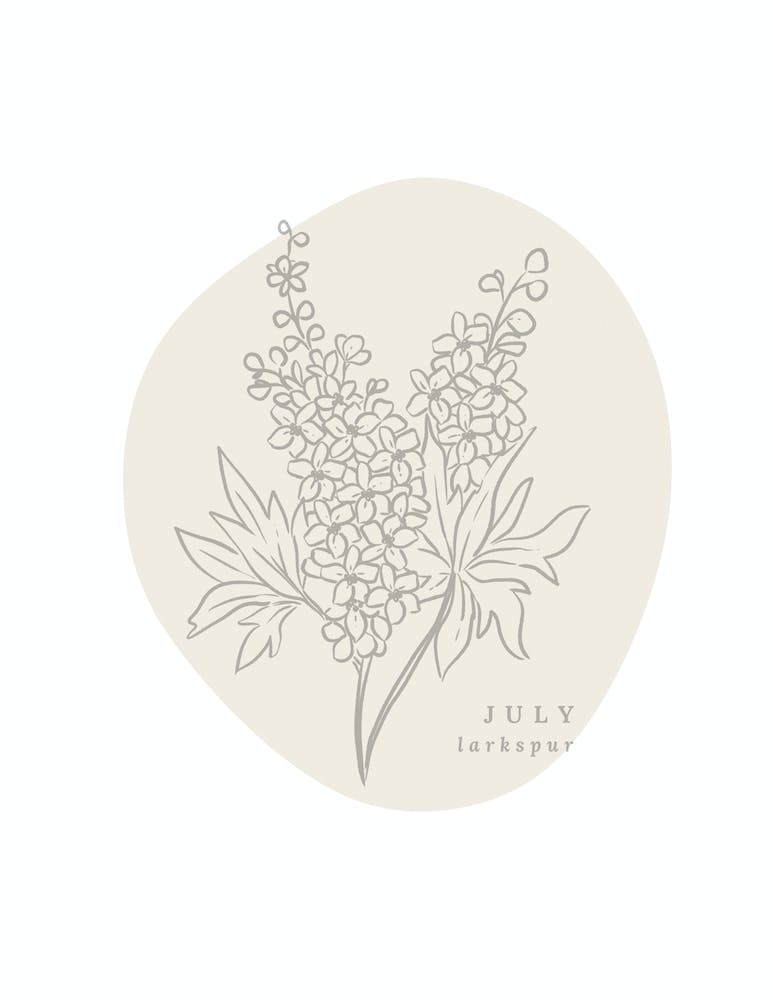 Juli Rittersporn Geburtsblume | Neutrale Blumen