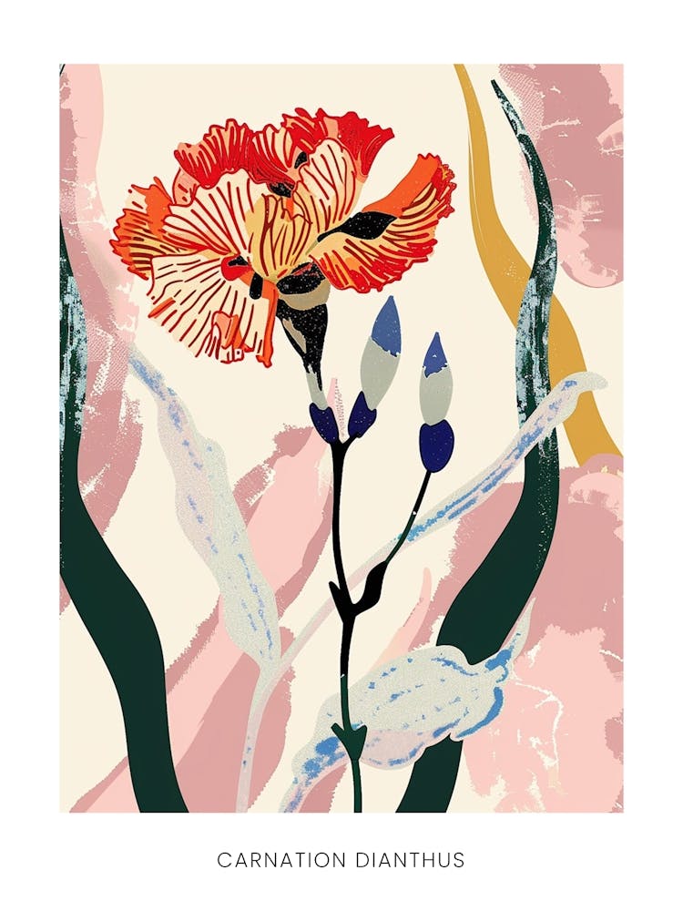 Colourful Flower Illustration Poster Carnation Dianthus 2
