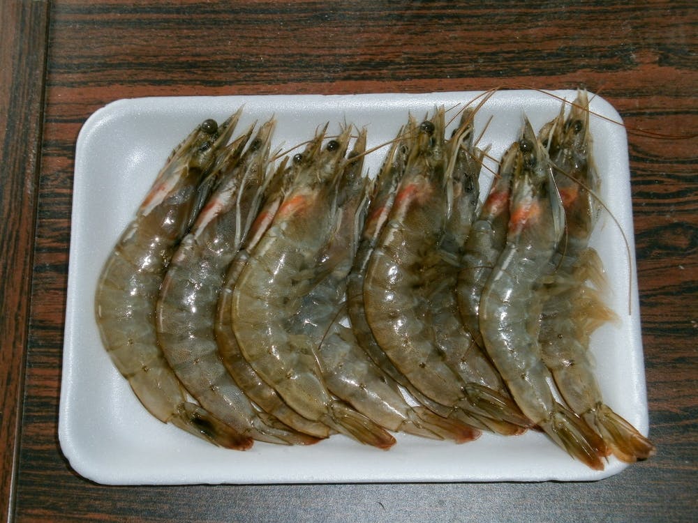 Prawns