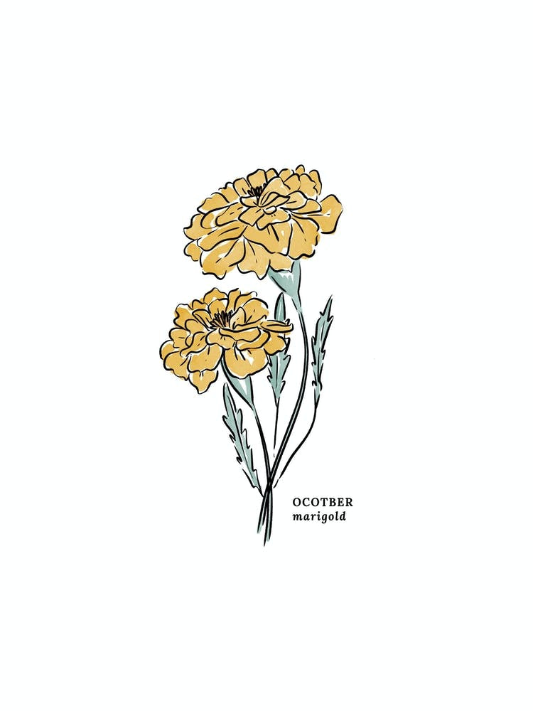 October Marigold Birth Flower 1