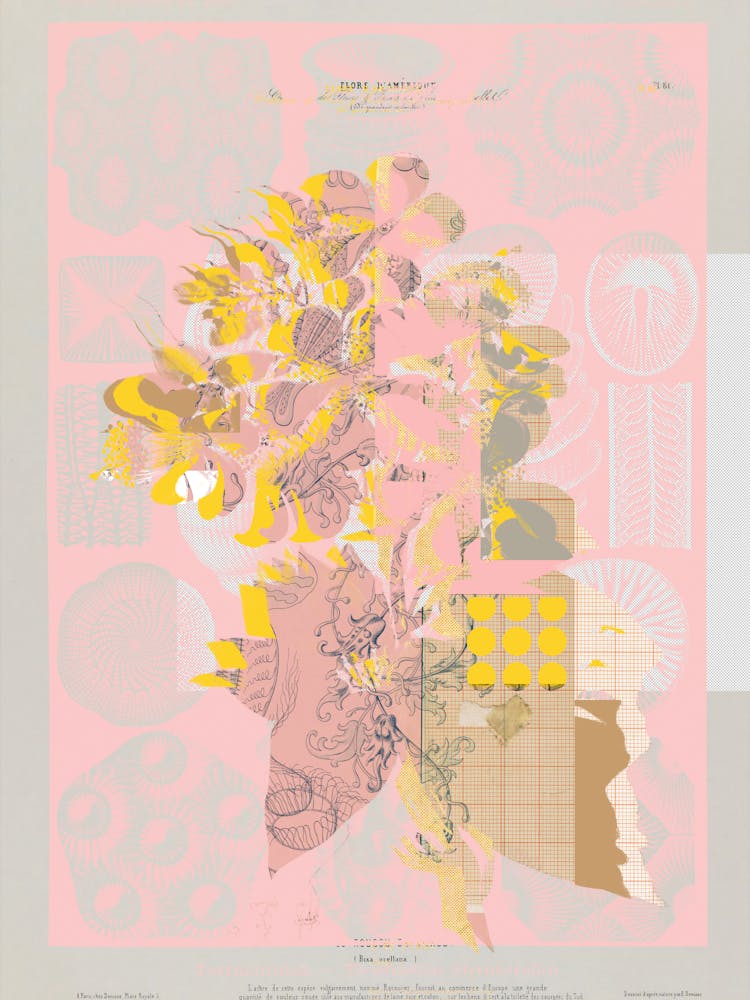 The First Plant � Tuesday Mix Mit Resten