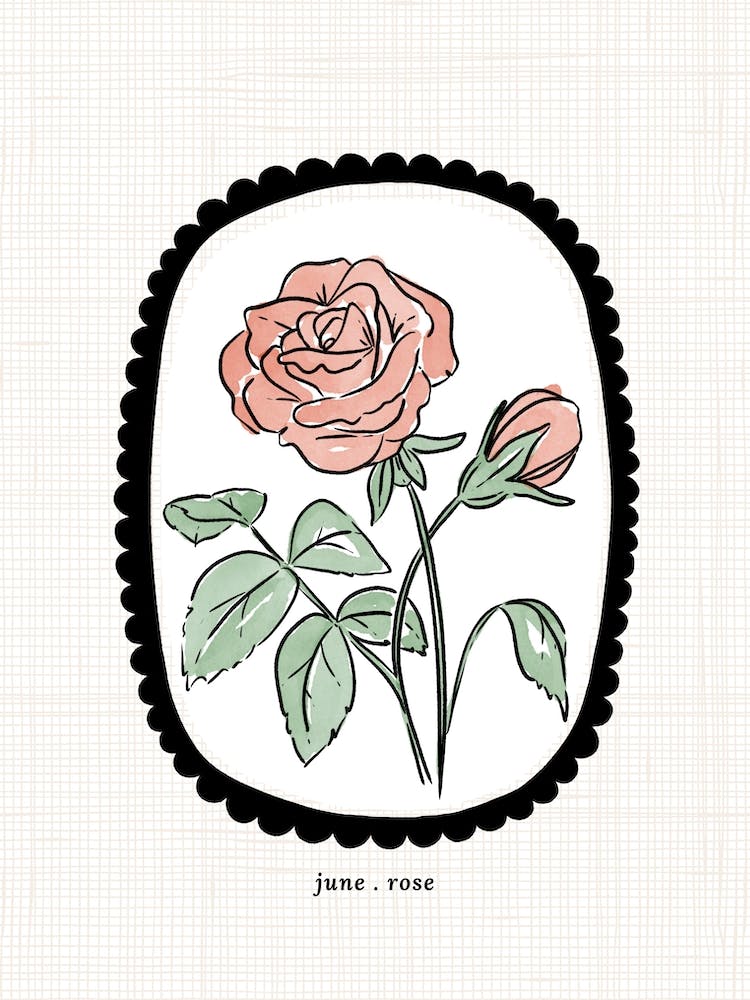 June Rose Birth Flower