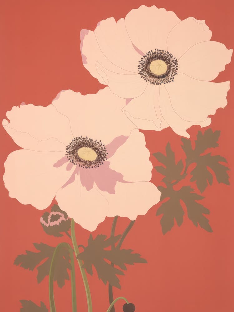 Anemones Flower Big Bold Illustration 1