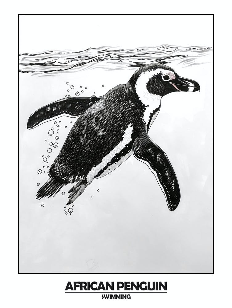 Penguin Swimming Poster