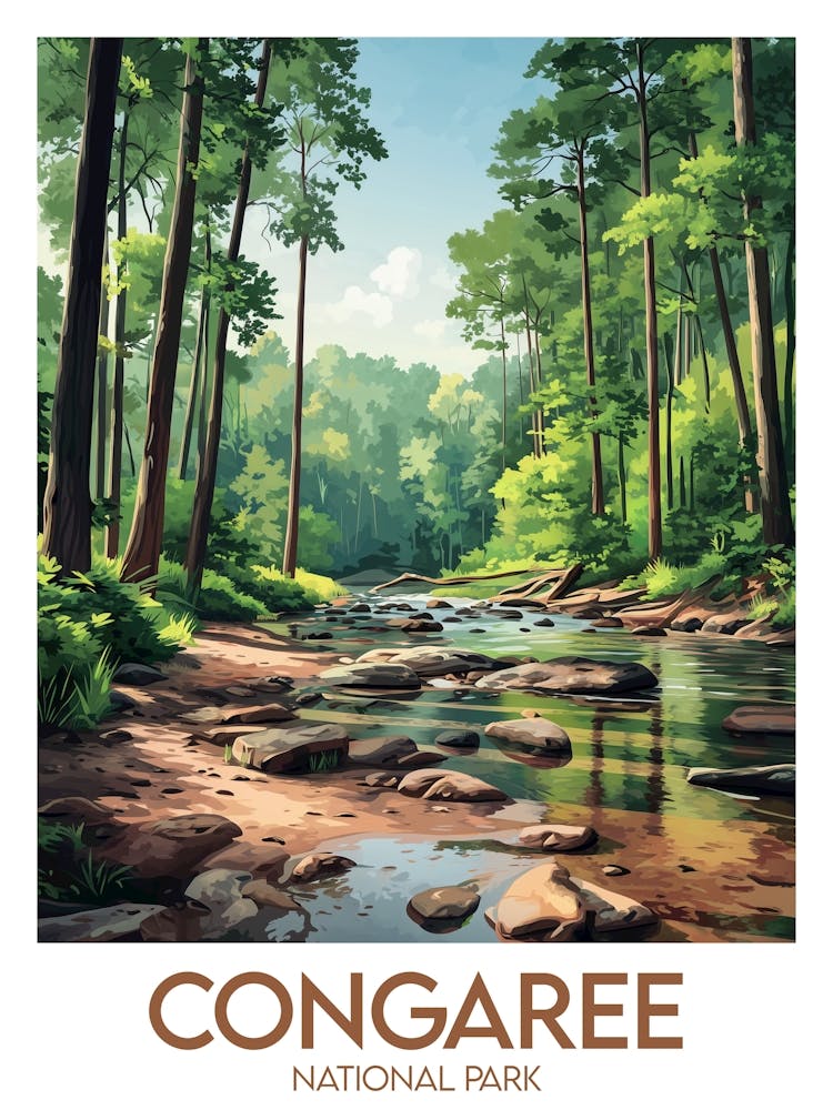 Affiche de voyage Congaree National Park