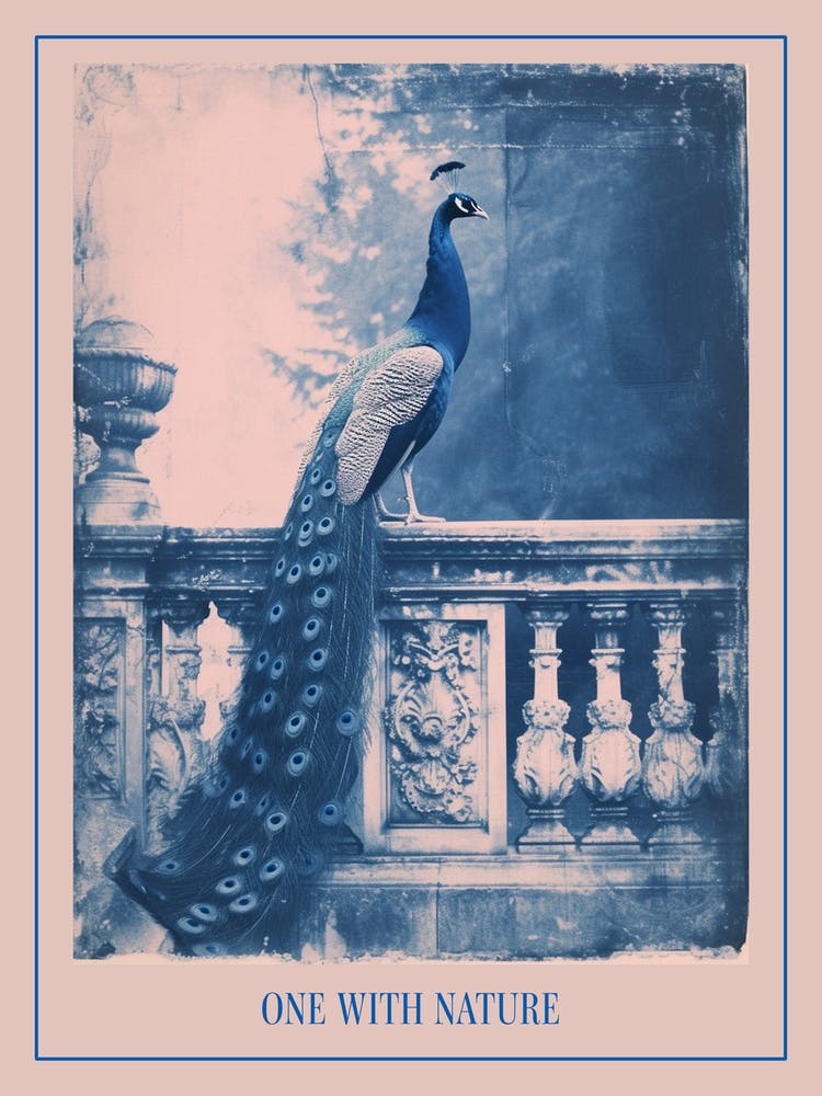 Peacock Outside Teh Palace Cyanotype Inspired Poster
