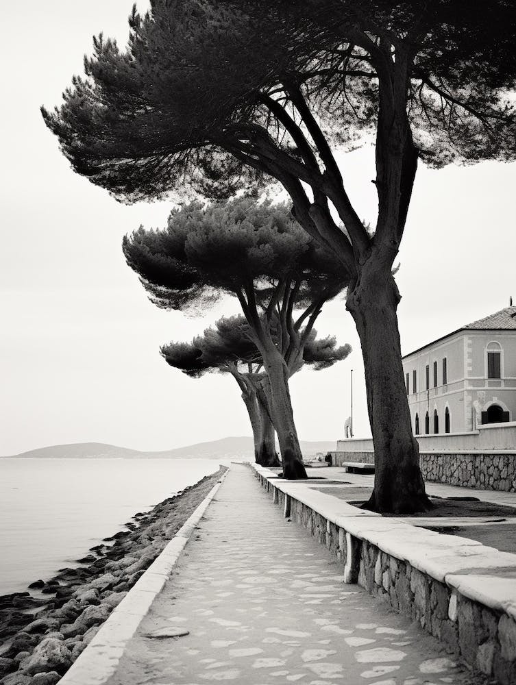 Saint Tropez, France, Black And White Old Photo 3