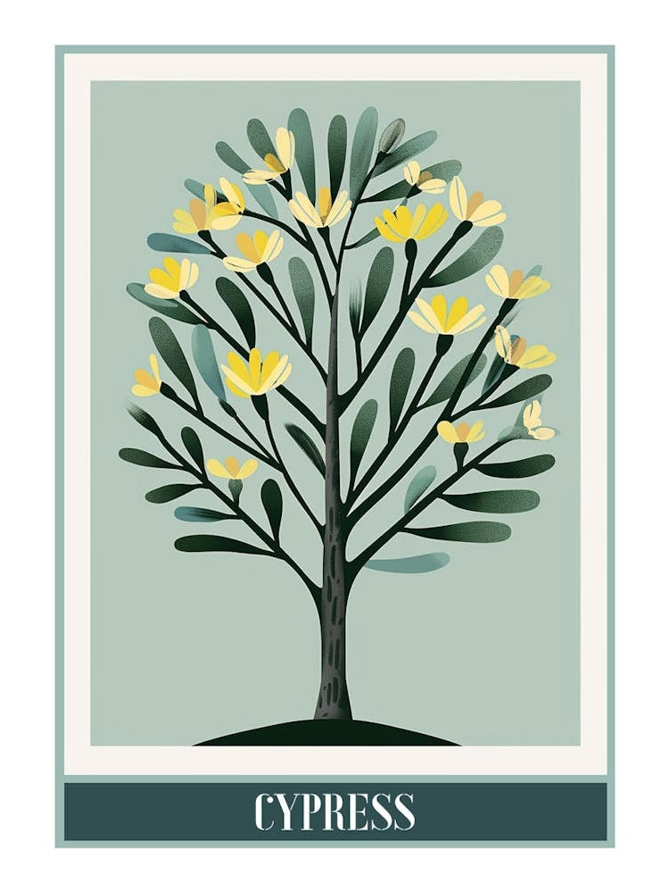 Cypress Tree Flat Illustration 5 Poster