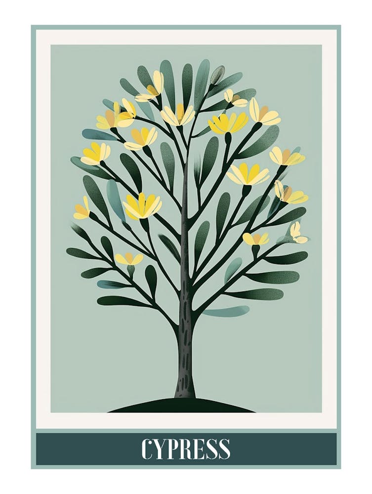 Cypress Tree Flat Illustration 5 Poster