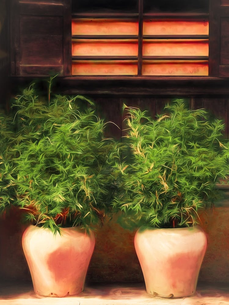 Two Potted Plants In Front Of A Window