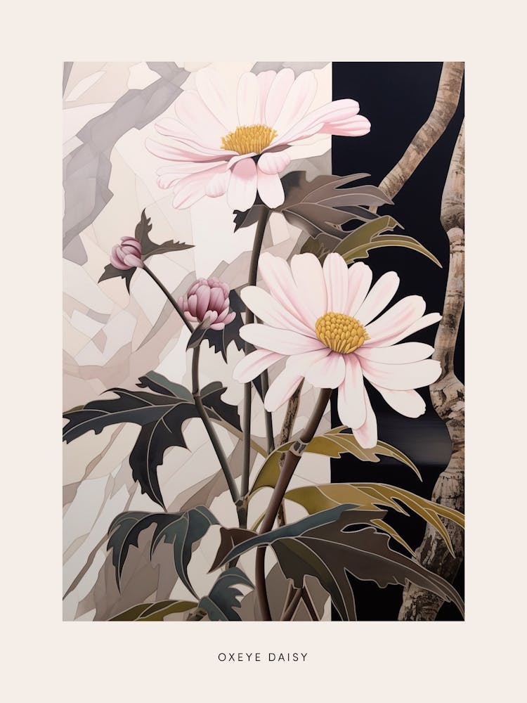 Flower Illustration Oxeye Daisy 1 Poster