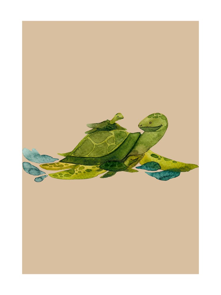 Elternschildkröte und Baby