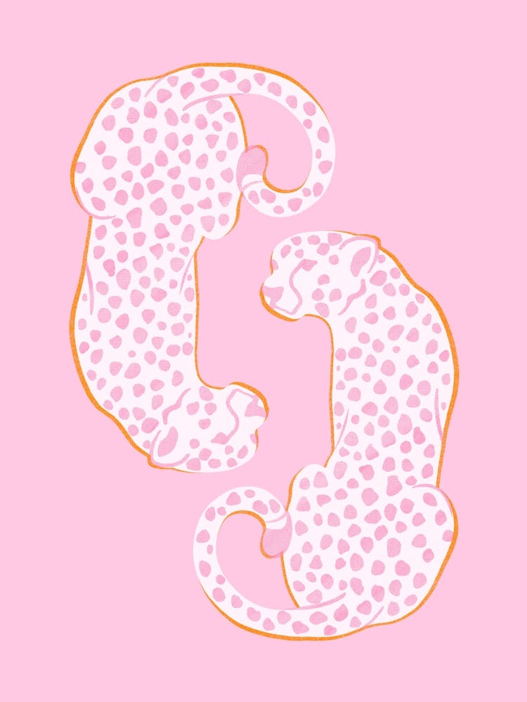 Pink Cheetahs