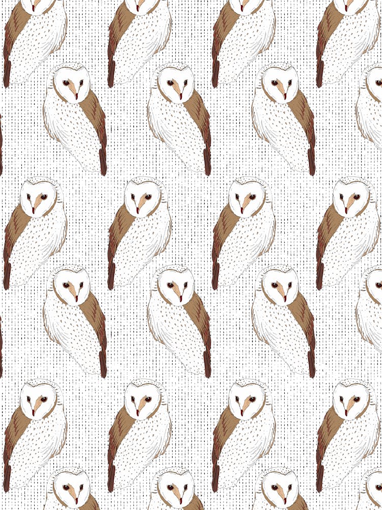 Owls Pattern