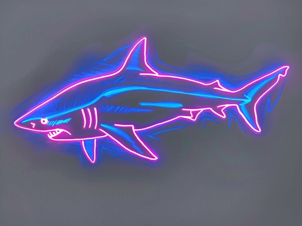 Neon Purple Bull Shark 4