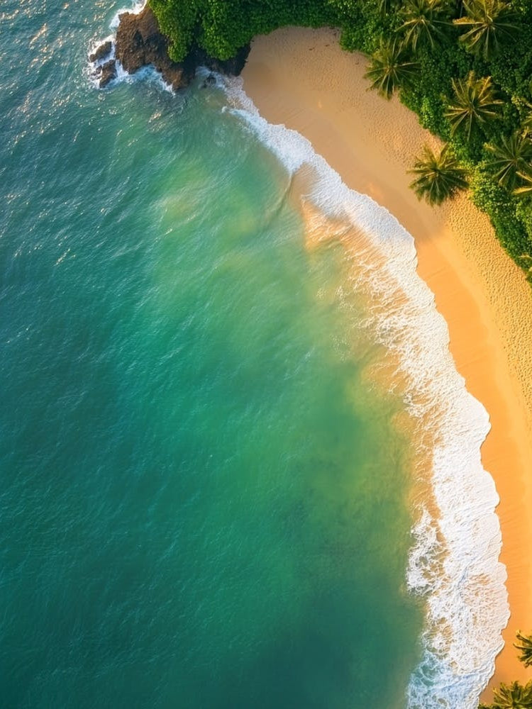 Aerial View Of A Tropical Beach 23
