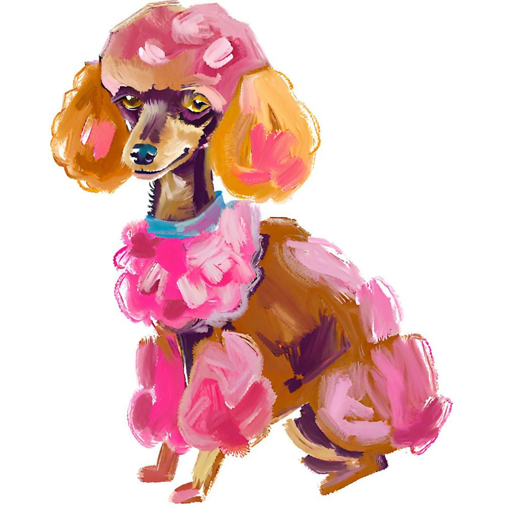 Poodle 02
