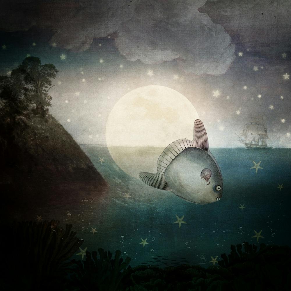 The Fish Who Stole the Moon