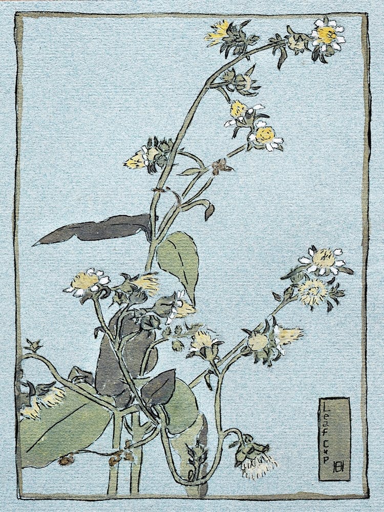 Leaf Cup (1915), Hannah Borger Overbeck