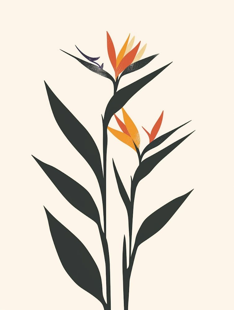 Bird Of Paradise Plant Minimalist Illustration 6