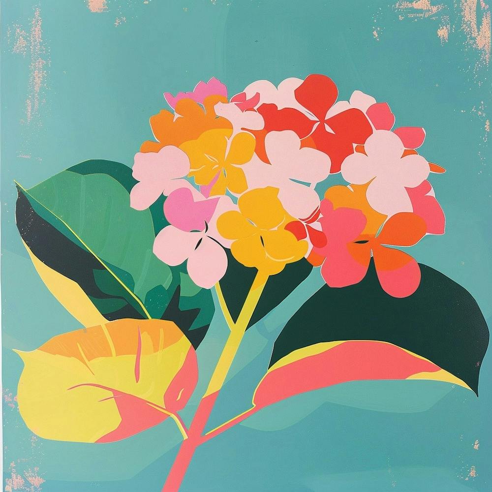 Hydrangea Square Flower Illustration