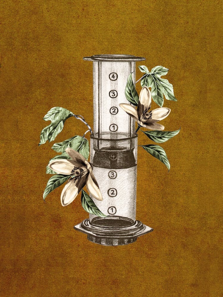 Botanical Aeropress