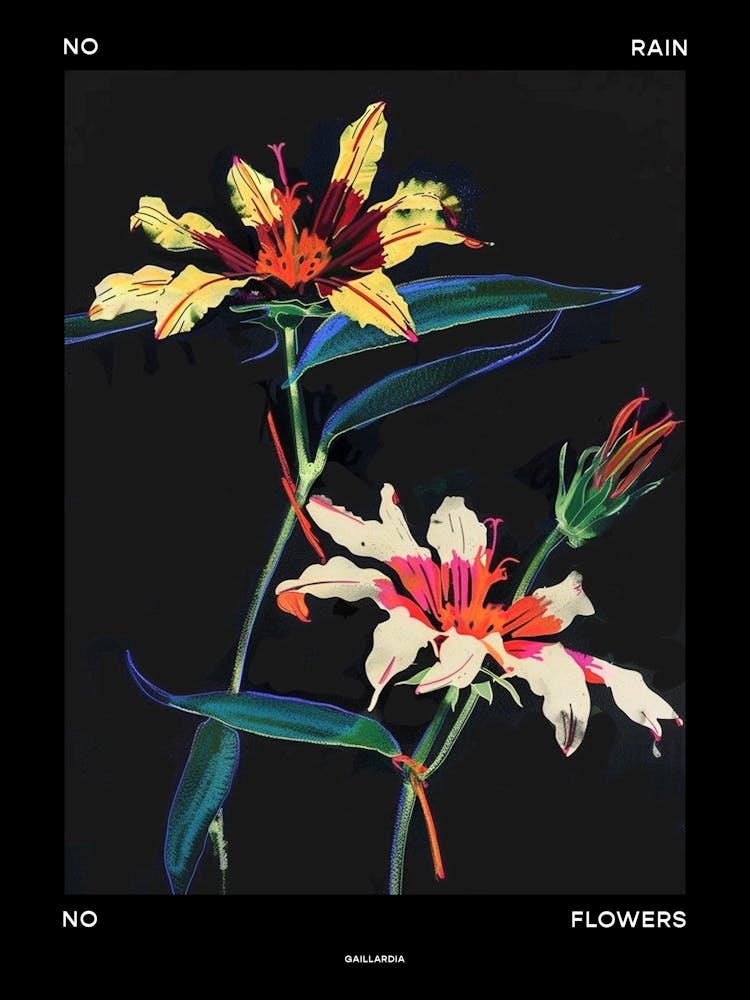 No Rain No Flowers Poster Gaillardia 1