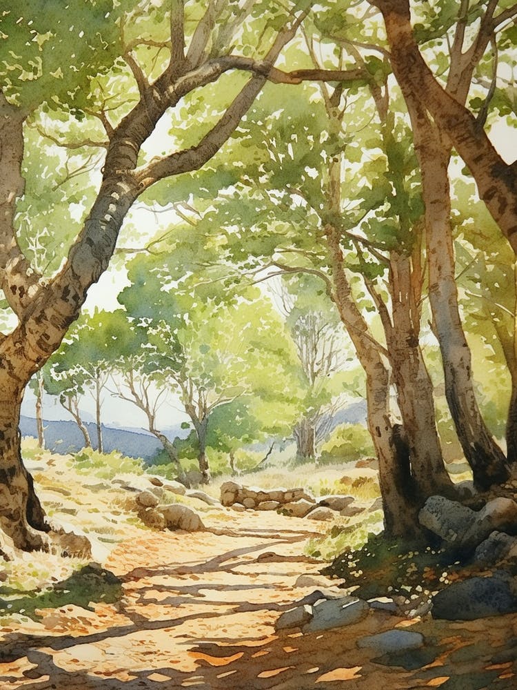 Dubrovnik Arboretum Croatia Watercolour 1 