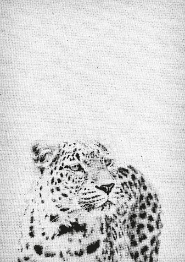 Leopard III