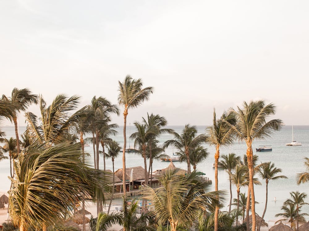 Aruba Beach View