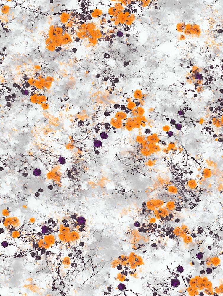 Fleurs oranges 1