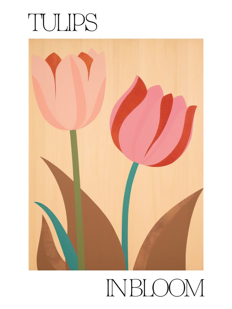 Tulips In Bloom Flowers Bold Illustration 4