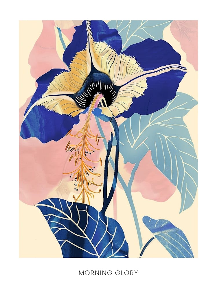 Colourful Flower Illustration Poster Morning Glory 7