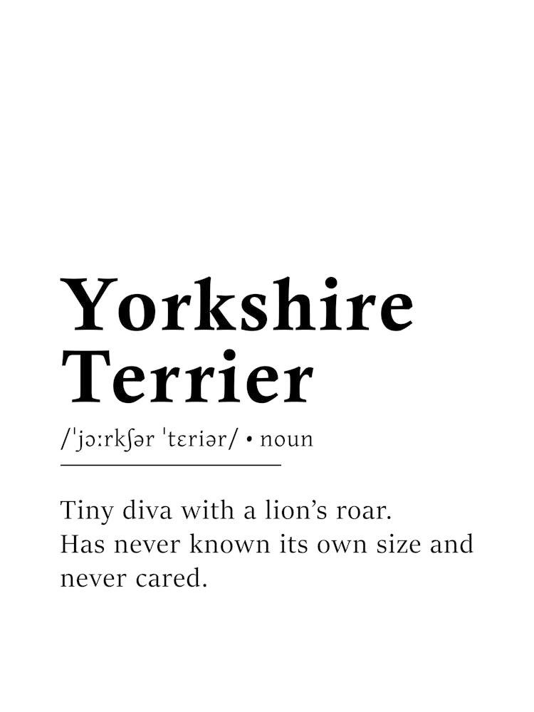 Yorkshire Terrier Definition Poster - Dictionary