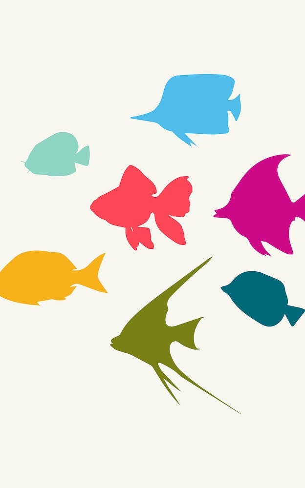 Happy Fish Family