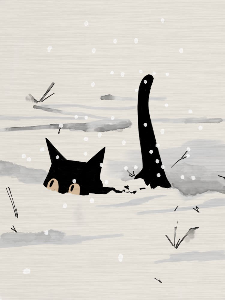 Black Cat In The Snow