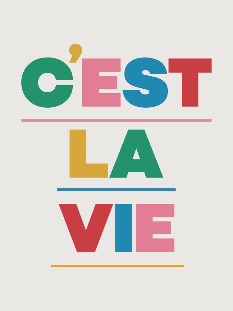 C'est La Vie - Funny Wall Art Poster Print