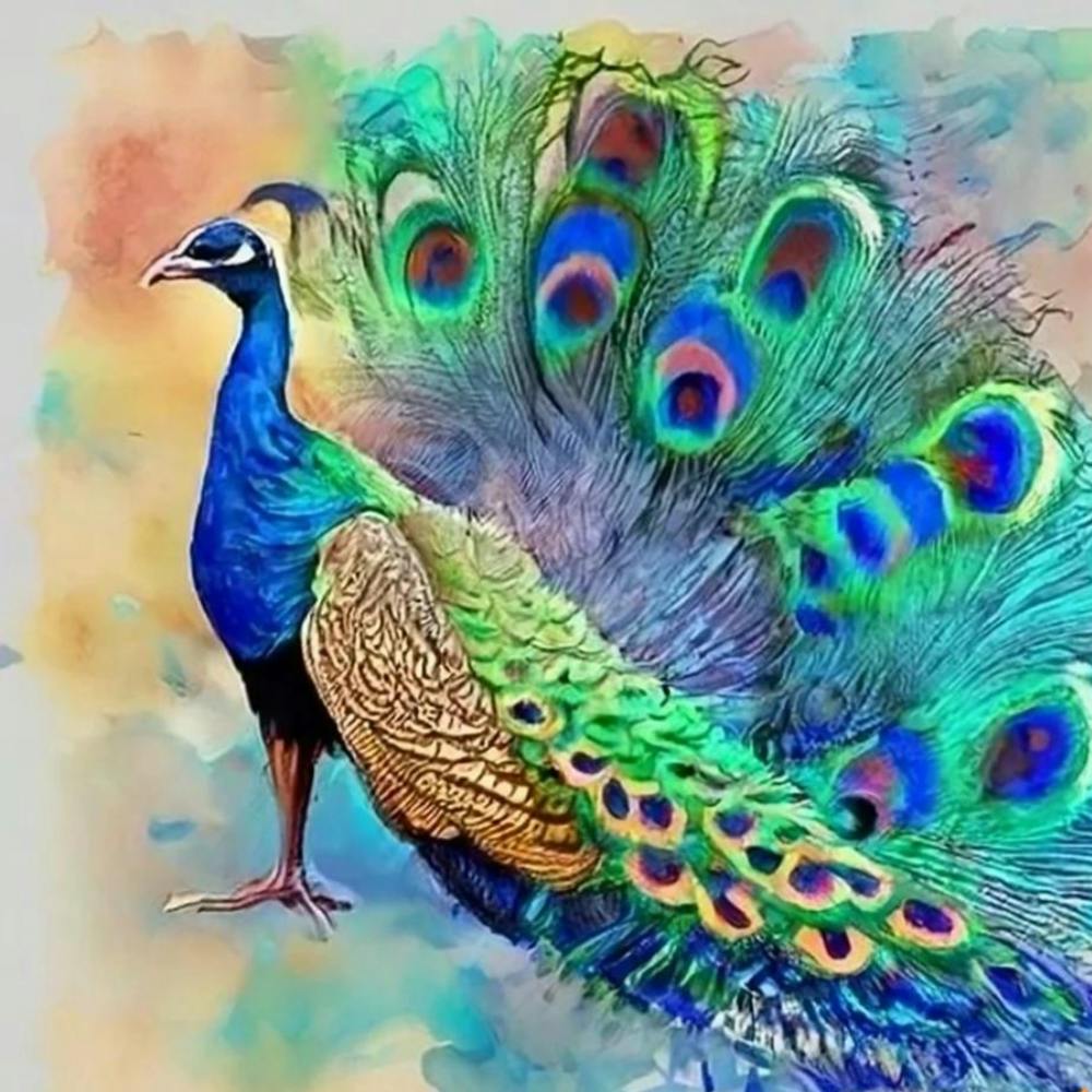 Peacock Painting