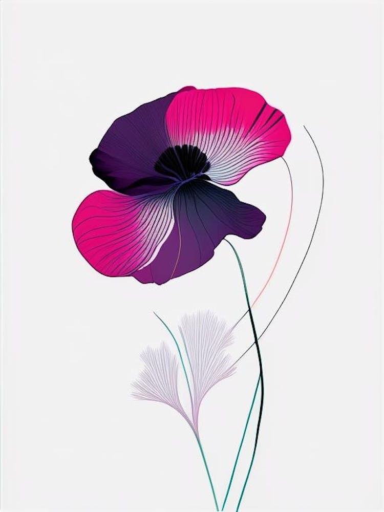 Anemone Floral Minimal Line Drawing 4 Flower