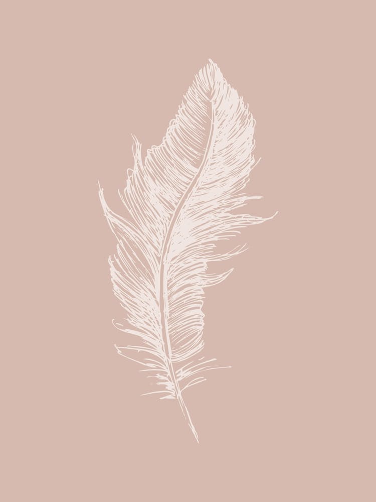 Pink Feather Print 1