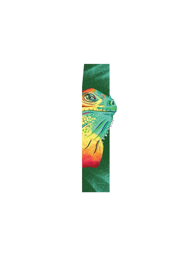 I Is For Iguana