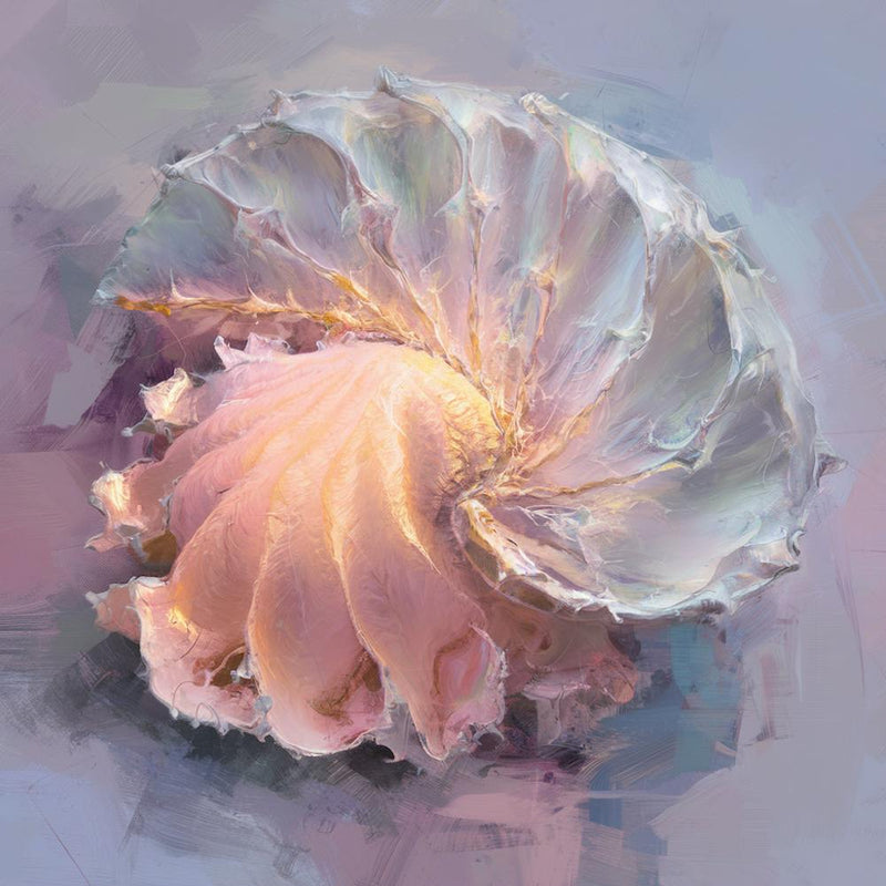 Sea Shell 7