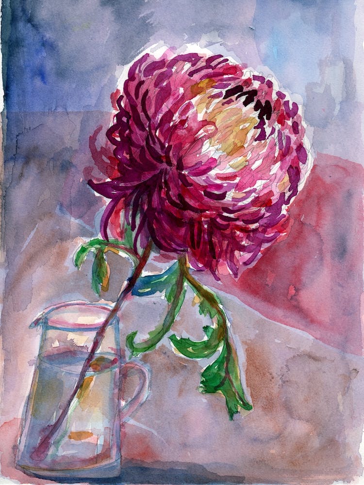 Jar Of Purple Dahlia