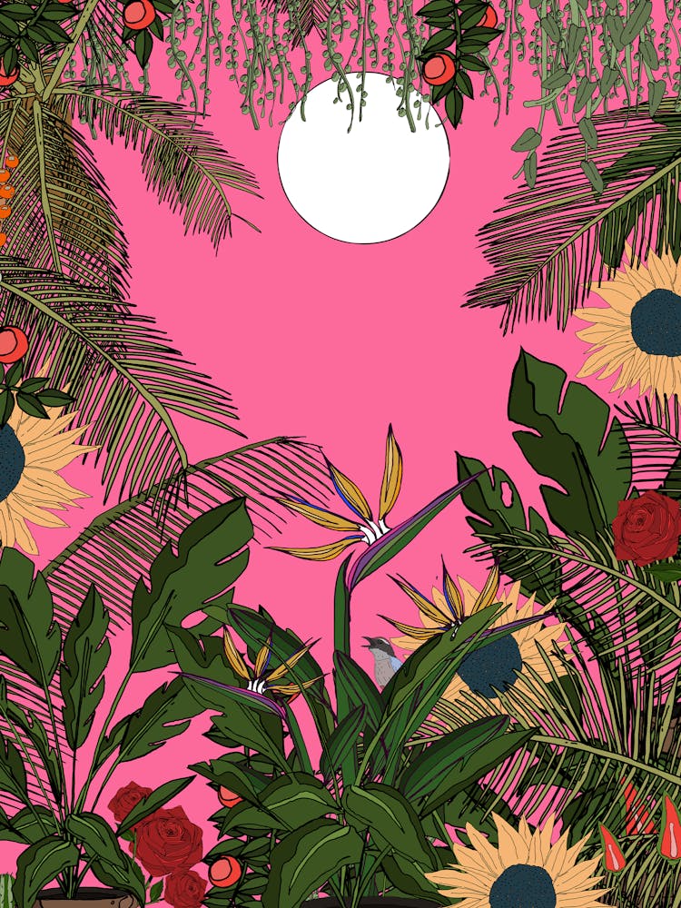 Tropical Background