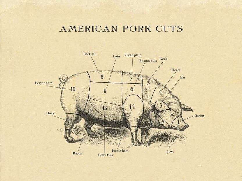 American Pork Butcher Cuts Chart